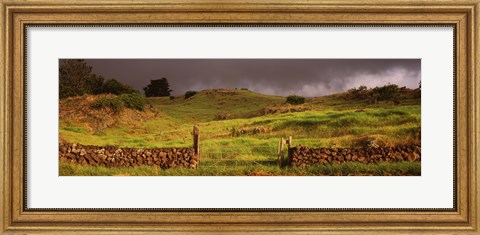 Framed Stone wall in a field, Kula, Maui, Hawaii, USA Print