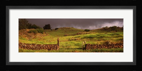 Framed Stone wall in a field, Kula, Maui, Hawaii, USA Print