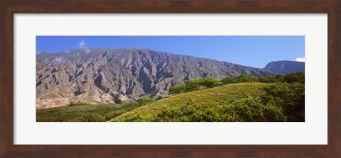 Framed Trees on a hill near Haleakala Crater, Maui, Hawaii, USA Print