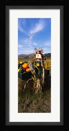 Framed Scarecrow in Pumpkin Patch, Half Moon Bay, California (vertical) Print
