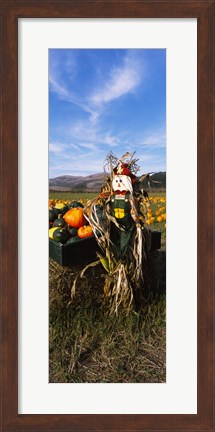 Framed Scarecrow in Pumpkin Patch, Half Moon Bay, California (vertical) Print