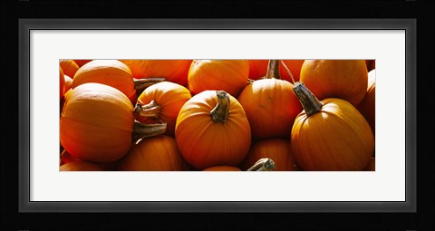 Framed Pumpkins, Half Moon Bay, California, USA Print