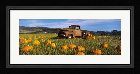 Framed Old Rusty Truck in Pumpkin Patch, Half Moon Bay, California, USA Print