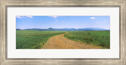 Framed Dirt road passing through a landscape, San Rafael Valley, Arizona Print