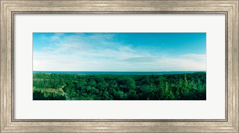 Framed High angle view of trees with Atlantic Ocean at Fort Tilden beach, Queens, New York City, New York State, USA Print