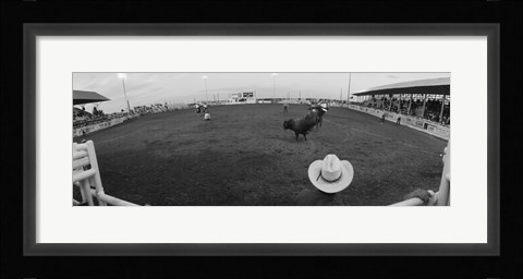 Framed Cowboy riding bull at rodeo arena, Pecos, Texas, USA Print