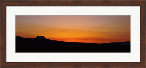 Framed Silhouette of a tree at dusk, Kirkcarrion, Middleton-In-Teesdale, County Durham, England Print
