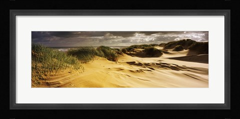 Framed Marram grass on the beach, Sands of Forvie, Newburgh, Aberdeenshire, Scotland Print