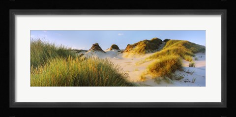 Framed Morning light on Forvie dunes, Newburgh, Aberdeenshire, Scotland Print