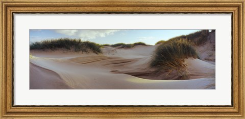 Framed Sculpted dunes at the Sands of Forvie, Newburgh, Aberdeenshire, Scotland Print
