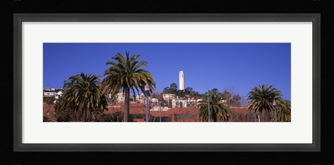 Framed Palm trees with Coit Tower in background, San Francisco, California, USA Print