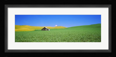Framed Shack in a field, Palouse County, Washington State Print