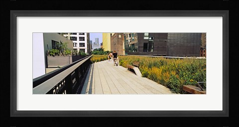 Framed Walkway in a linear park, High Line, New York City, New York State, USA Print