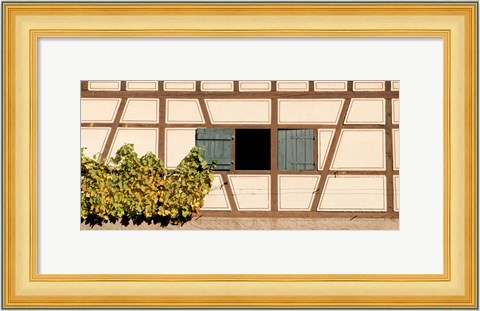 Framed Detail of half timber house and grape vines, Strumpfelbach, Baden-Wurttemberg, Germany Print
