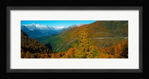 Framed Trees with road in autumn at Simplon Pass, Valais Canton, Switzerland Print