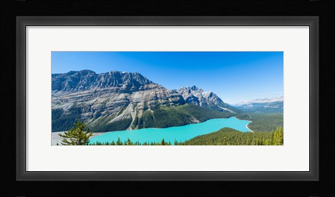 Framed Peyto Lake at Banff National Park, Alberta, Canada Print