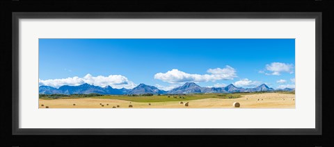 Framed Hay bales in a field with Canadian Rockies in the background, Alberta, Canada Print