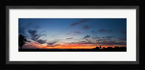 Framed Silhouette of trees at sunset, Todos Santos, Baja California, Mexico Print