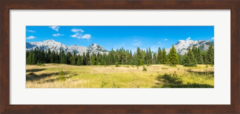 Framed Trees with mountain range in the background, Banff National Park, Alberta, Canada Print