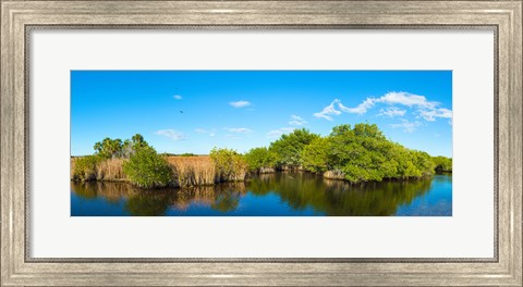 Framed Reflection of trees in a lake, Big Cypress Swamp National Preserve, Florida, USA Print