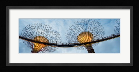 Framed Elevated walkway among Supertrees, Gardens by the Bay, Singapore Print