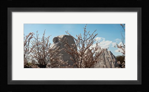 Framed Cherry trees in front of a memorial, Martin Luther King Jr. National Memorial, Washington DC, USA Print