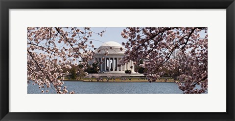 Framed Cherry Blossom trees in the Tidal Basin with the Jefferson Memorial in the background, Washington DC Print