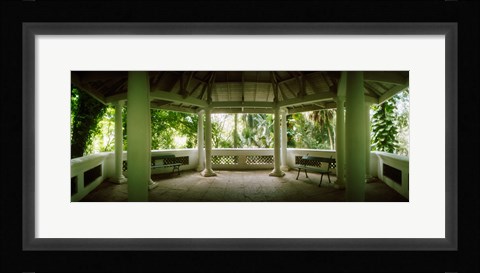Framed Canopy in the botanical garden, Jardim Botanico, Zona Sul, Rio de Janeiro, Brazil Print
