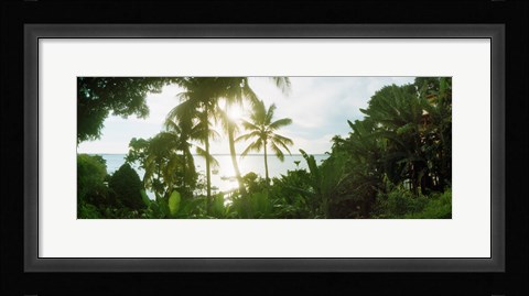 Framed Palm trees in the forest at coast, Morro De Sao Paulo, Tinhare, Cairu, Bahia, Brazil Print