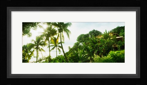 Framed Palm trees covering a small bungalow in Morro De Sao Paulo, Tinhare, Cairu, Bahia, Brazil Print