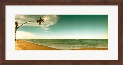 Framed Single leaning palm tree on the beach, Morro De Sao Paulo, Tinhare, Cairu, Bahia, Brazil Print