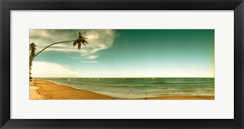 Framed Single leaning palm tree on the beach, Morro De Sao Paulo, Tinhare, Cairu, Bahia, Brazil Print