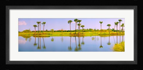 Framed Reflection of trees on water, Lake Worth, Palm Beach County, Florida, USA Print