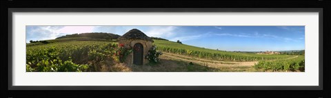 Framed Beaujolais vineyard, Saules, Saone-Et-Loire, Burgundy, France Print