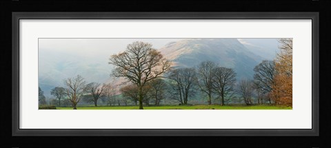 Framed Autumn trees with mountain in the background, Langdale, Lake District National Park, Cumbria, England Print
