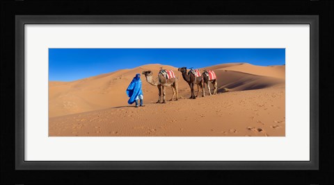 Framed Tuareg man leading camel train in desert, Erg Chebbi Dunes, Sahara Desert, Morocco Print