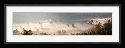 Framed Misty morning valley, Uley, Gloucestershire, England Print