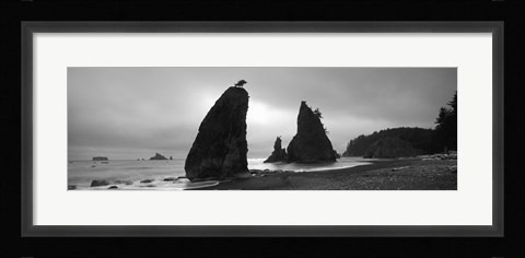 Framed Silhouette of seastacks at sunset, Olympic National Park, Washington State (black and white) Print
