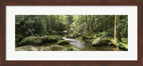 Framed Roaring Fork River, Great Smoky Mountains, Tennessee Print