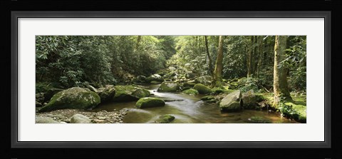Framed Roaring Fork River, Great Smoky Mountains, Tennessee Print