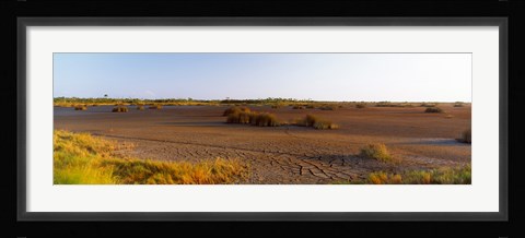 Framed Grass on a dry land, Black Point Wildlife Drive, Merritt Island National Wildlife Refuge, Titusville, Florida, USA Print