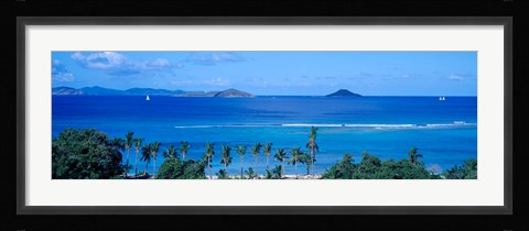 Framed Palm trees on the beach, British Virgin Islands Print