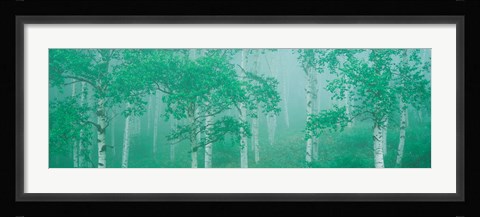 Framed Highlands Yachihokgen Nagano Japan Print