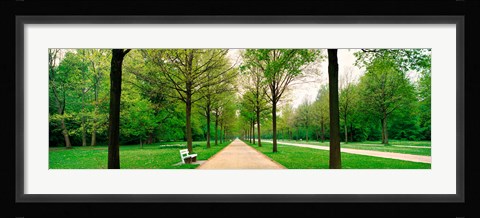 Framed Tree-lined road Hessen Kassel vicinity Germany Print