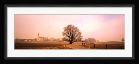 Framed Tree &amp; road Lansberg vicinity Germany Print