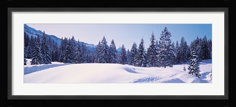 Framed Snowy Field &amp; Trees Oberjoch Germany Print