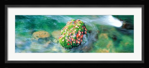 Framed Takao Kiyotaki River Kyoto Japan Print