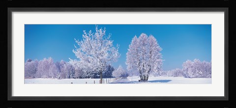 Framed Winter scenic Germany Print