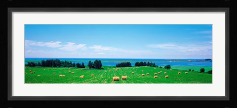 Framed Farm field Prince Isl Canada Print