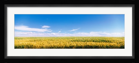 Framed Farm field Twin Falls ID USA Print